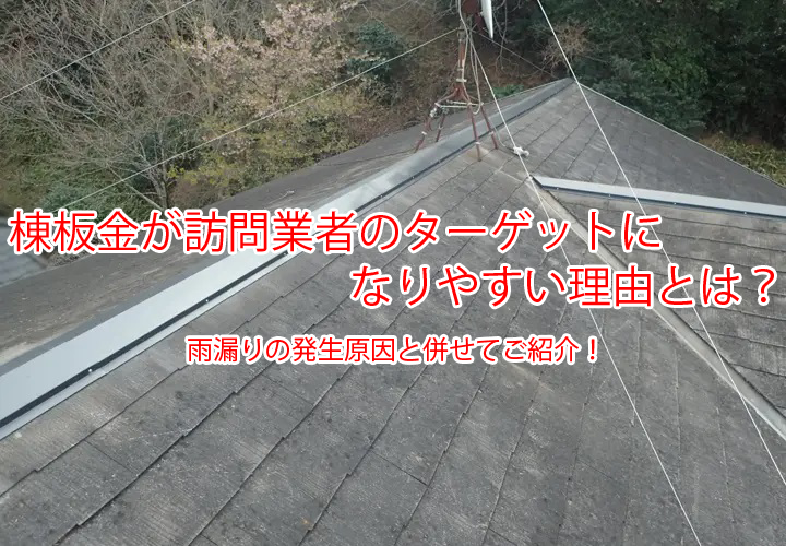 棟板金が訪問業者のターゲットになりやすい理由とは？雨漏りの発生原因と併せてご紹介！