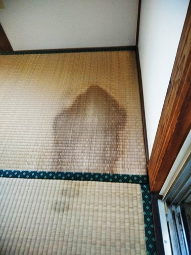 沼津市雨漏り瓦屋根室内畳