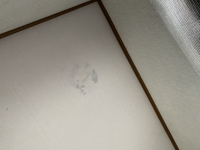 都城市にてセメントの平瓦の割れにより雨漏りが発生してしまっているお宅の現地調査