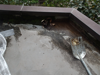 汚れた溝を掃除