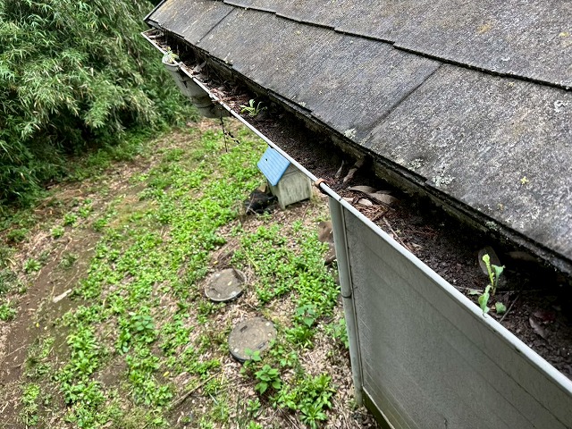 久喜市栗橋で雨どいの詰まりや屋根のひび割れを発見！雨漏り修理はアメピタ埼玉久喜店へ