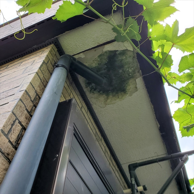 戸田市　軒天板張り替え工事　施工前