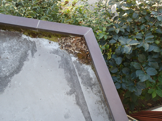 ゴミの溜まった淵