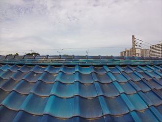 棟取り直し工事が完了