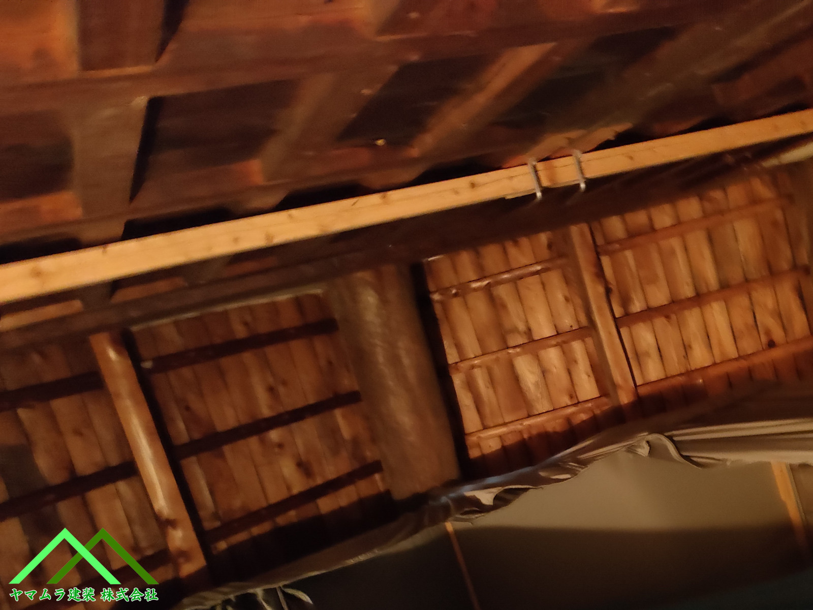 天井裏の状態