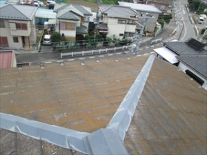 びっしりと苔が生えた屋根 びっしりと苔が生えた屋根