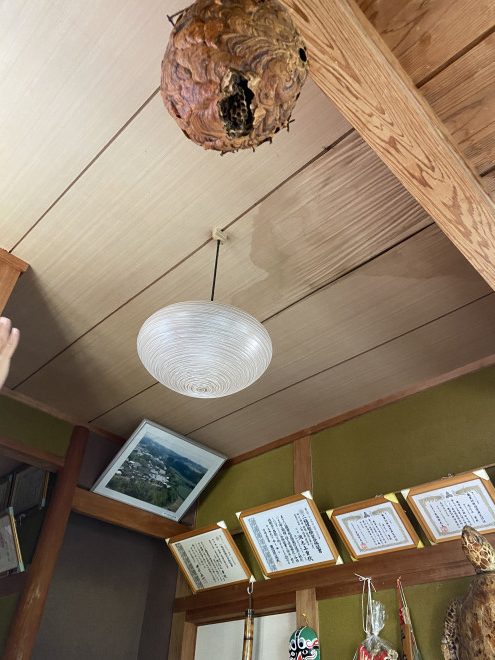 棟板金　雨漏り　室内