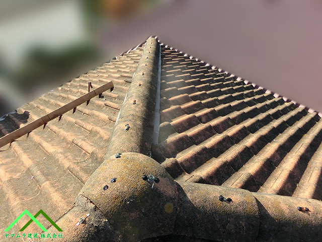 三又部にもコーキング