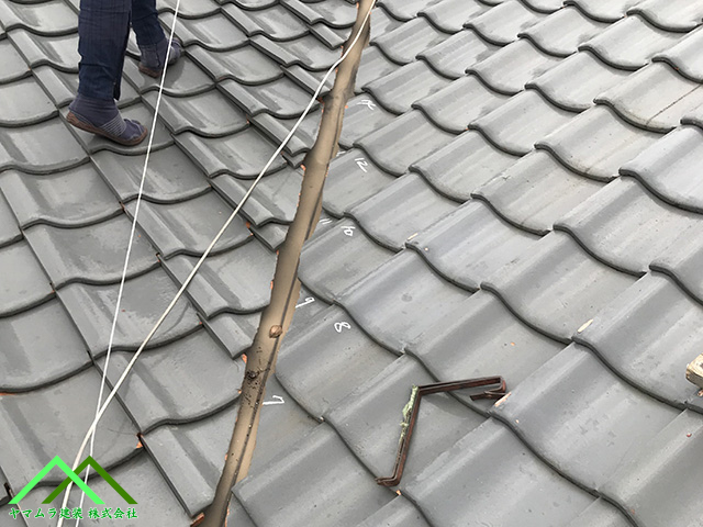 番号を付けます