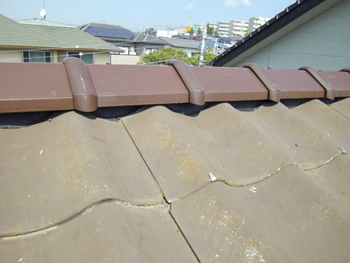 三島市大棟取り直し完了