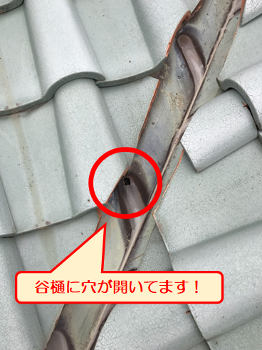 三島天井剥がれ谷樋穴
