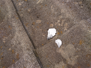 棟の漆喰剥がれ