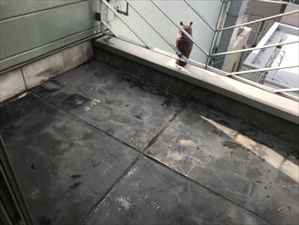 施工箇所の清掃