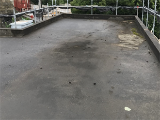 苔や藻が繁殖している陸屋根