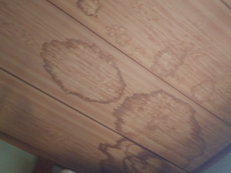 市原市青葉台にて雨漏り補修のご相談、金属屋根からの雨漏りを調査しました