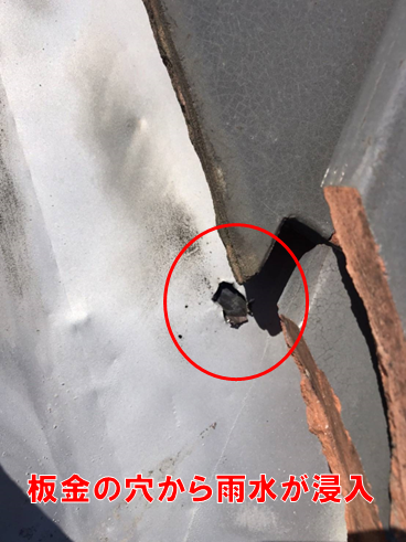 沼津市雨漏り板金穴あき