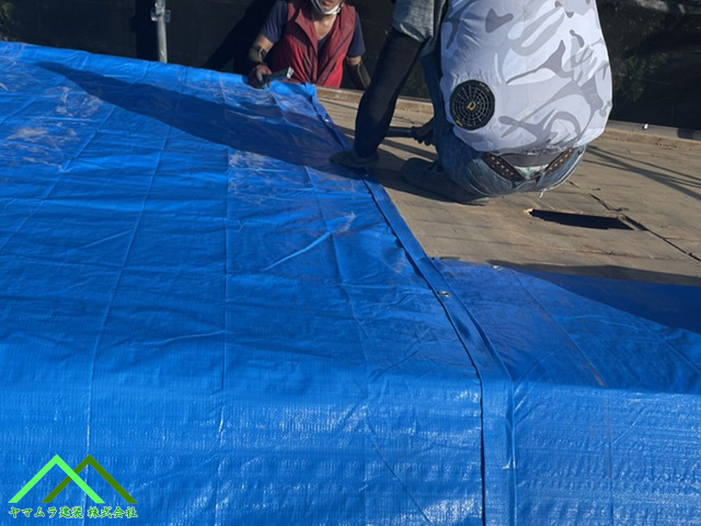 ブルーシートを貼ります