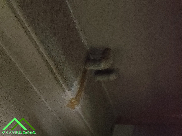 水漏れした水道管