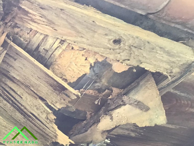 瓦の裏地が見える