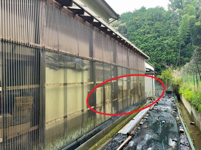 波板張替え前状況