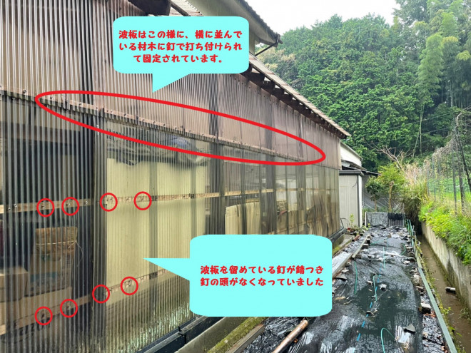 既存波板を留めている釘の劣化状況