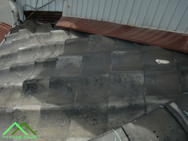 古い瓦の点検