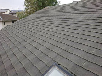 トップライトのついたスレート屋根です