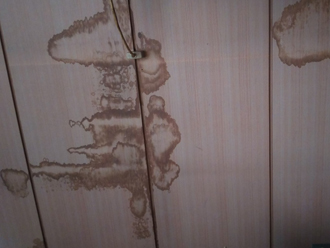 天井に出来た雨染み