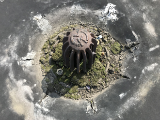 陸屋根の排水溝周辺には泥や苔が蓄積