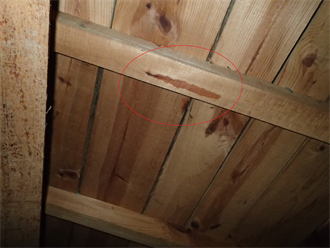 木材に残る雨漏り