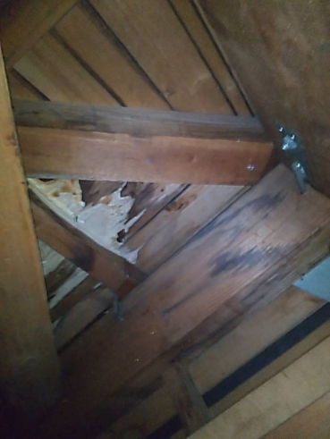 沼津市屋根裏雨漏り