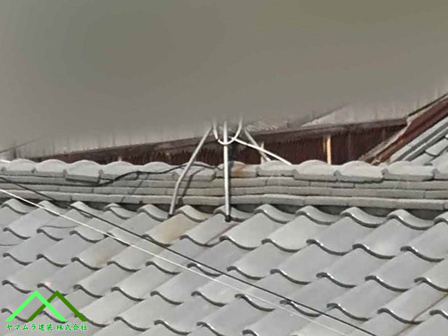 お隣の屋根もズレています