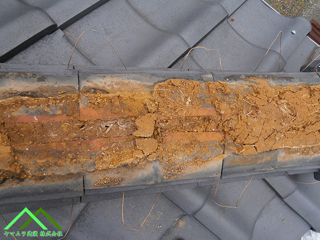 雨水が浸入していそうです