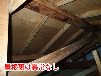 屋根裏は異常なし