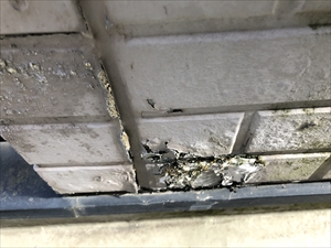 川口市にてベランダ笠木、壁からの雨漏りによる修繕工事を行いました