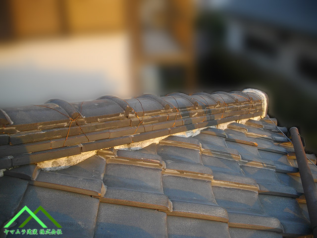 屋根全体を掃除