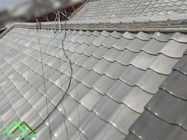 屋根全体を掃除