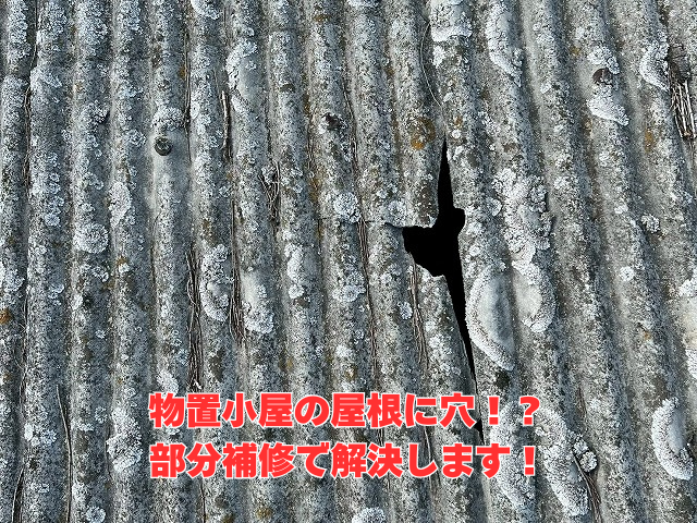 加須市で物置小屋のポリカ波板屋根に穴！緊急部分補修で雨漏り解決