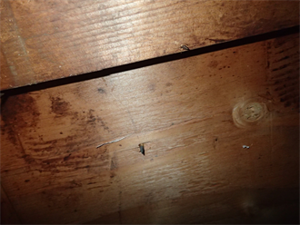 屋根裏の雨染み