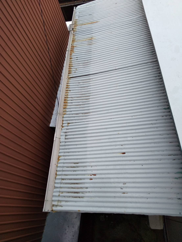 沼津市雨漏り波板