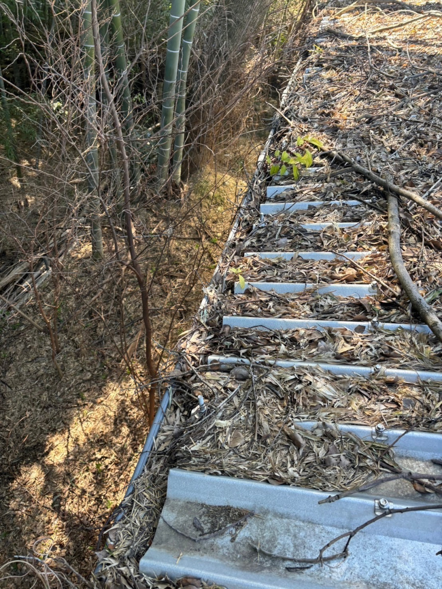 落ち葉で詰まってしまっている雨樋