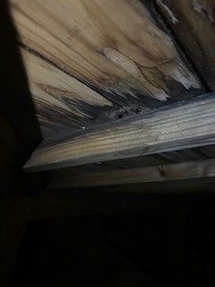長期雨漏り　屋根裏痛み