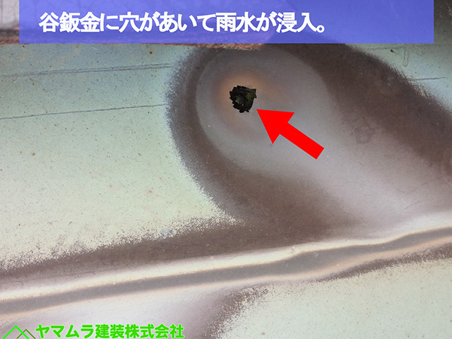 06名古屋市熱田区　谷樋交換　谷鈑金に穴があいて雨水が浸入。