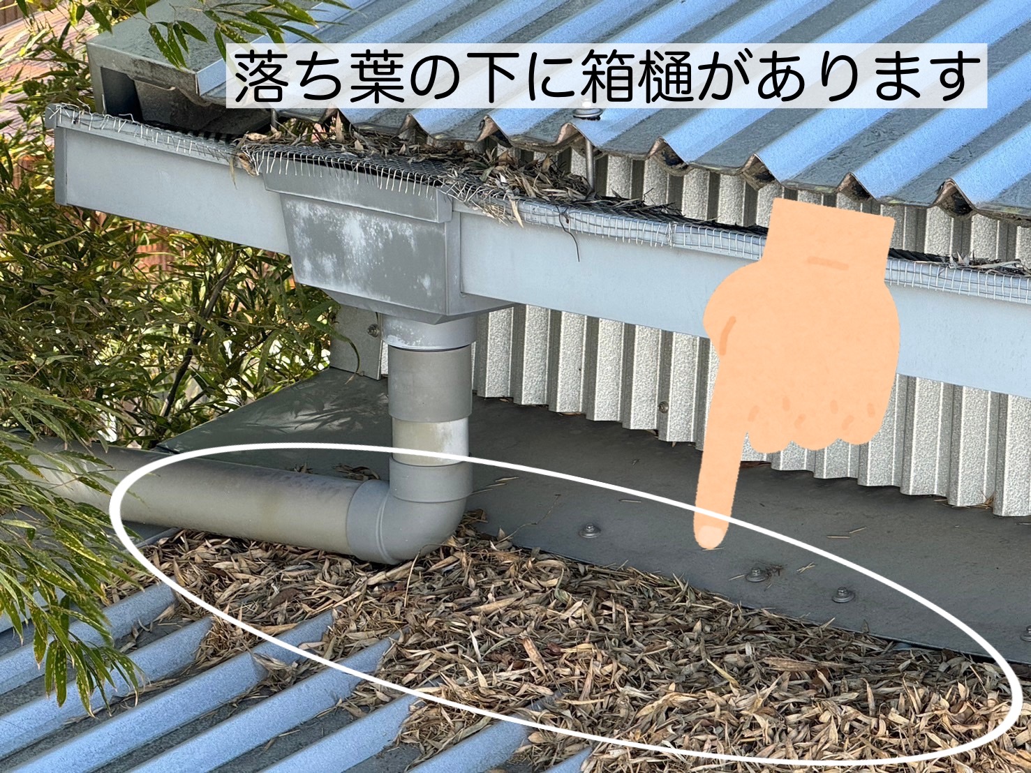 落ち葉がたくさんの屋根