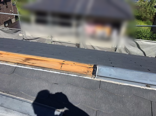 棟板金を外した屋根