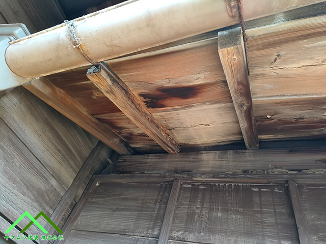 野地板が雨漏り