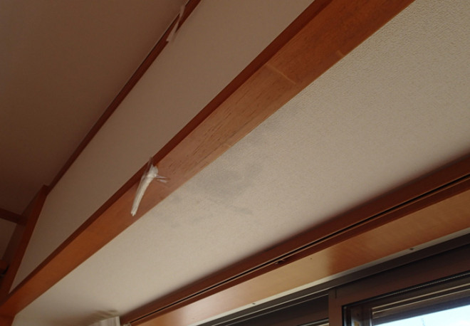 雨漏り点検