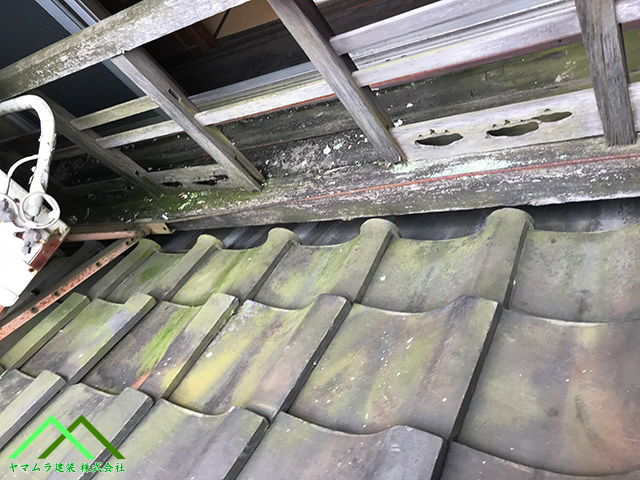 瓦が劣化気味