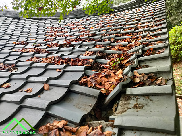 雨水が浸入して