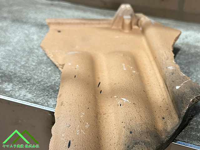 裏面の肉厚が違う